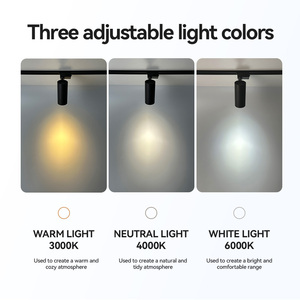 Nouveau Projecteur Rail LED 30W Commercial Intérieur Noir Blanc 3 Couleurs Système d'Éclairage sur Rail pour <span class=keywords><strong>Magasin</strong></span> de Vêtements - Product Image 5