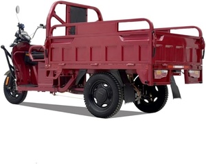Tricycle électrique cargo ouvert, batterie, vitesse 30-50 km/h, pneus de 10 pouces, dimensions 2550*940*1300 mm, capacité de charge 200-300 kg, autonomie 50-70 km - Product Image 1