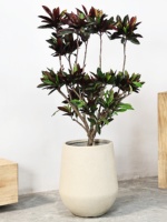 Pot Bunga Lantai Kaliber Besar Gaya Wabi-Sabi Ramah Lingkungan Modern Sederhana Mewah dari Tanah Magnesium untuk Tanaman Hijau Bengal Ficus