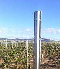 Poste de viñedo galvanizado de <span class=keywords><strong>madera</strong></span> tratada térmicamente de 2,0mm de espesor para cultivo de uva Poste de estaca de metal - Product Image 5