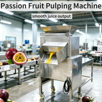 Passievrucht Pulpmachine 500kg/uur Kleine Commerciële Sapverwerkingsapparatuur