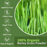 Ausreson OEM Gummies Supergreens à l'extrait de graines d'herbe d'orge fraîche, supplément de Vitamine C 1000mg, Gummies d'herbe d'orge pure biologique