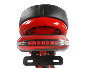 <span class=keywords><strong>Schwinn</strong></span> E-Bike para adultos jóvenes 20*4,0 pulgadas neumáticos marco Twist Shifter desviador trasero 48V Hub Motor 8-13ah batería - Product Image 5