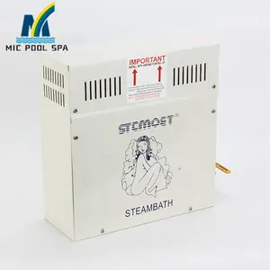 Hoge Kwaliteit 3kw 18kw Sauna 'S Kamer Stoombad Machine Stoombad Generator Voor Hotel Spa Gym Thuis Commerciële Familie Gebruik