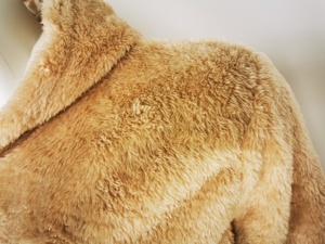 Customized Furry Sherpa Beige <strong>Hoodie</strong> Factory Made Latest Design Embossed <strong>Teddy</strong> <strong>Hoodie</strong> - Product Image 4