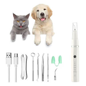 Détartreur dentaire électrique ultrasonique électrique pour dents d'animaux de compagnie - Product Image 2