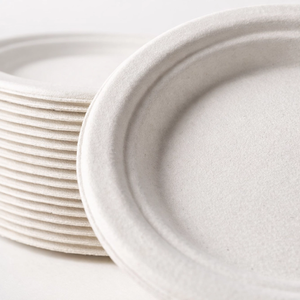 Platos de Pulpa de Caña de Azúcar Biodegradables de 6 Pulgadas, Resistentes, Ecológicos, de Bagazo, con Relieve, Grado Comercial para - Product Image 3
