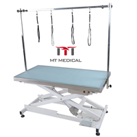 MT Table de toilettage électrique élévatrice pour animaux de compagnie avec lumière LED Table de toilettage pour hôpital ou animalerie Offre Spéciale
