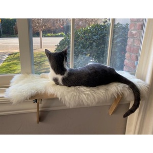 Plataforma de Madera para Gatos para Ventana, 20x60cm 30x60cm, Cama Rectangular Elevada para Gatos, Color Madera Natural, Área de Observación y Baño Solar - Product Image 2