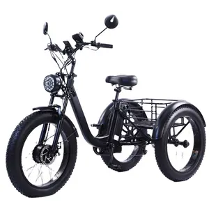 China supplier popular Fat tire 24 inch electric tricycle for carrying goods and shopping LCD display