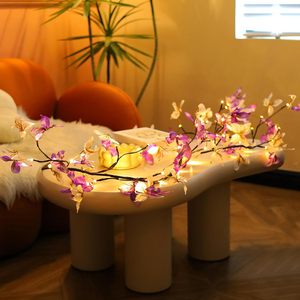 Tsinye ha incantato la vite del salice le luci con la decorazione romantica della farfalla inseriscono per la decorazione del camino di natale della parete - Product Image 2