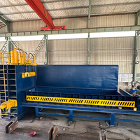 Machine de cisaillement de portique de Q91Y-320 de Teyun pour réutiliser la ferraille dans la taille requise