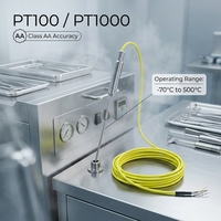 Détecteur de résistance thermique sanitaire multi-niveaux SR801-1 avec sonde 3/4 pour la désinfection à haute température, l'hygiène médicale et l'industrie