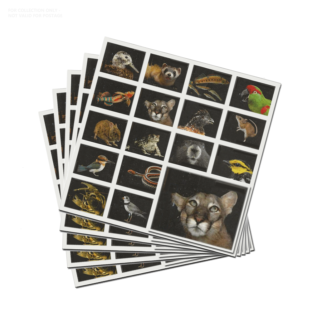 White Y78 2023 Endangered Species