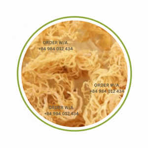 มอสทะเลไอริชสีทองแท้ผลิตจากธรรมชาติและบริสุทธิ์100% จากเวียดนาม - Product Image 1