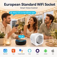 Prise intelligente 20A 240V sans fil WiFi Zigbee, prise intelligente avec statistiques d'électricité, prise intelligente EU, mini prise de contrôle