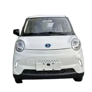 Electric Car Panda Mini 2023 EV Car 120km Cute New Geometry Auto Electrico for Girls New Energy