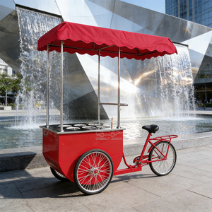 Ice Cream <b>Towable</b> Push Vending Cart with Freezer Cargo Bike Umbrella Design for Fast Food Outdoor Use - Product Image 5