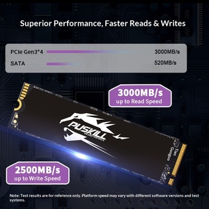 Puji M.2 NVMe Dahili 2.5" Masaüstü Katı Hal Sürücüsü 256G/512G 3000MB/s Okuma Hızı 2500MB/s Yazma Hızı Sınır Ötesi Toptan Satış - Product Image 2