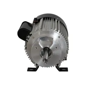750W single phase AC motor for home rice grinder machine