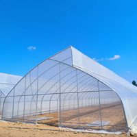 Serre tropicale à arche simple avec ventilation supérieure à dents de scie et support de treillis pour piments