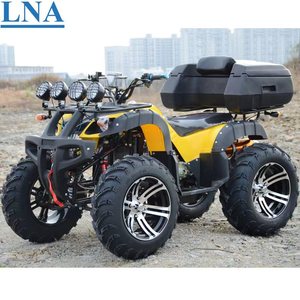 <span class=keywords><strong>Quad</strong></span> 300cc 2 places pour adultes, carburateur LNA, 300 kg, pour usage commercial - Product Image 6
