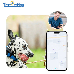 Traceur GPS DK07 Trackerking 2G+4G adapté aux grands chiens et aux chiens de chasse, batterie 4500 mAh, compatible GSM quadribande, géolocalisation. - Product Image 6