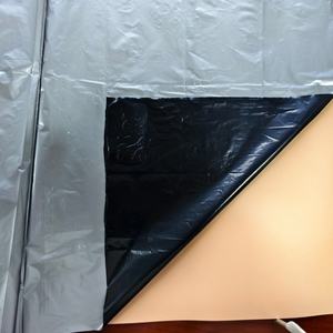 Película de mantillo perforada de alta resistencia, fácil instalación para parcelas agrícolas - Product Image 2