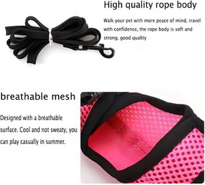 Tali kelinci dan Harness Set melarikan diri bukti, rompi kelinci Set tali kelinci jala tahan melarikan diri latihan berjalan untuk hewan kecil - Product Image 5