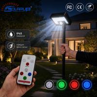 Reflector de Luz Solar para Jardín, LED con Sensor Solar, Recargable, con Cambio de Color Rojo, Verde y Azul, para Exteriores, Pequeño, con Control Remoto