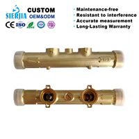 Vannes sectionnelles en laiton à ultrasons de haute qualité et haute précision, anti-corrosion, DN15-DN40, protection IP68, compteurs d'eau OEM/ODM