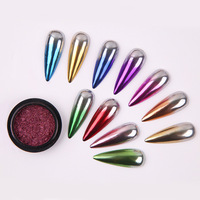 Ensemble de poudres pour nail art professionnel à usage en salon, 12 couleurs, avec effets holographiques et chromés
