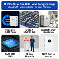 Système de Stockage d'Énergie Domestique (ESS) Tout-en-un avec Batterie LiFePO4 28kWh 30kWh 32kWh et Onduleur Solaire Hybride Hors Réseau 10kW 12kW