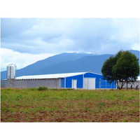 Naves Avícolas Industriales Prefabricadas de Acero / Granjas de Pollos de Engorde / Casas Avícolas Rápidas para Negocios de Cría de Aves