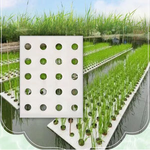 Panneau <span class=keywords><strong>de</strong></span> polystyrène XPS pour <span class=keywords><strong>la</strong></span> culture <span class=keywords><strong>de</strong></span> plantes hydroponiques plaque flottante pour <span class=keywords><strong>la</strong></span> laitue et les légumes dans les serres mousse <span class=keywords><strong>de</strong></span> plantation DWC - Product Image 1