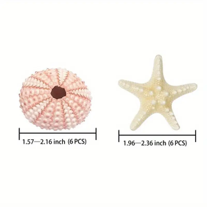 Set <span class=keywords><strong>di</strong></span> stelle marine e ricci <span class=keywords><strong>di</strong></span> <span class=keywords><strong>mare</strong></span>, 12 pezzi gusci <span class=keywords><strong>di</strong></span> ricci <span class=keywords><strong>di</strong></span> <span class=keywords><strong>mare</strong></span> da 1.3 1.9 pollici per piante aeree - Product Image 2