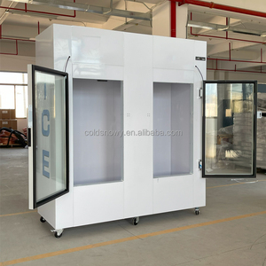 La porta interna di vetro di stoccaggio del ghiaccio di stoccaggio del ghiaccio del frigorifero di alta qualità non sarà mai usata come frigorifero - Product Image 2