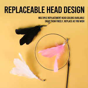 Juguete para Gatos, Caña de Pescar con Plumas, Cabezal Reemplazable, Juguete Interactivo para Mascotas, Dropshipping - Product Image 2