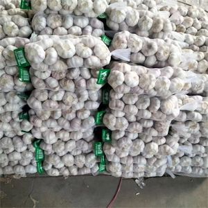 Ail <span class=keywords><strong>frais</strong></span> Ajo New Crop Ail blanc normal de bonne qualité Ail <span class=keywords><strong>acheter</strong></span> de l'ail 20kg sac en Chine - Product Image 4