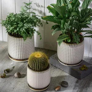 Tedarikçisi zarif tasarımcı ev dekorasyon saksı porselen tencere bitkiler için