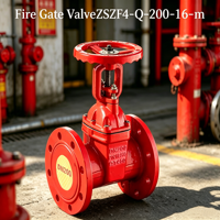 Katup Gerbang Api Batang Naik ZSZF4-Q-200-16-m dari Bahan Besi Cor Tahan Lama, Model Multi, Dapat Disesuaikan