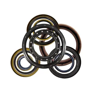 NQK SF High Quality Oil Seal NBR FKM FPM Rotary Lip Seal 37*66*9.5/12mm TC TG TB SC Shaft Oil Seals