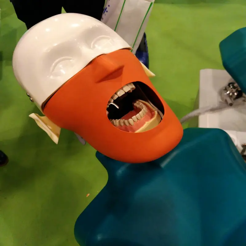 dental simulator manikin with torso for Dental Schools educational programs Nissin dental phantom head model Dental Model