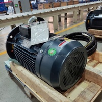 Moteur électrique asynchrone VF industriel personnalisé de 7,5 kW 10 CV 100 kW