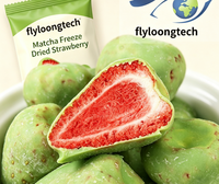 Top gewaardeerde pure chocolade aardbei gevriesdroogde premium zoete snack heerlijke bulkverpakking
