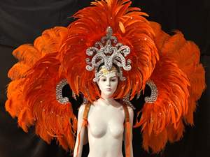 Costume de scène de célébration d'inauguration, costume <span class=keywords><strong>indien</strong></span> à plumes, coiffe exagérée, panneau arrière en plumes d'autruche, costumes de danse samba - Product Image 2