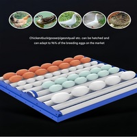 Nueva Incubadora de Huevos Totalmente Automática para 176 Huevos, 99% de Tasa de Incubación, Doble Potencia 220V/110V, para Aves, Pollos, Pavos, Patos, Gansos, Avestruces