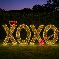 Lumière LED en forme de panneau 'Be Mine' avec cadre métallique, étanche IP65 CE, pour décorations événementielles, spots photo, boulevards urbains, motif Saint-Valentin