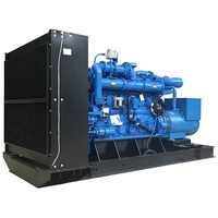 Générateur d'énergie au gaz naturel de type ouvert 100 kW 150 kW 200 kW 250 kVA, location de centrale biogaz au prix d'usine