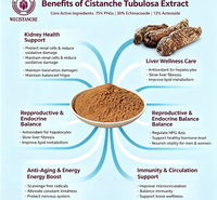 Capsules d'extrait de Cistanche Tubulosa 50% Phytoglycosides 15% Échinacoside 6% Acteoside Cozy Smooth Complément Alimentaire Améliorant l'Immunité OEM